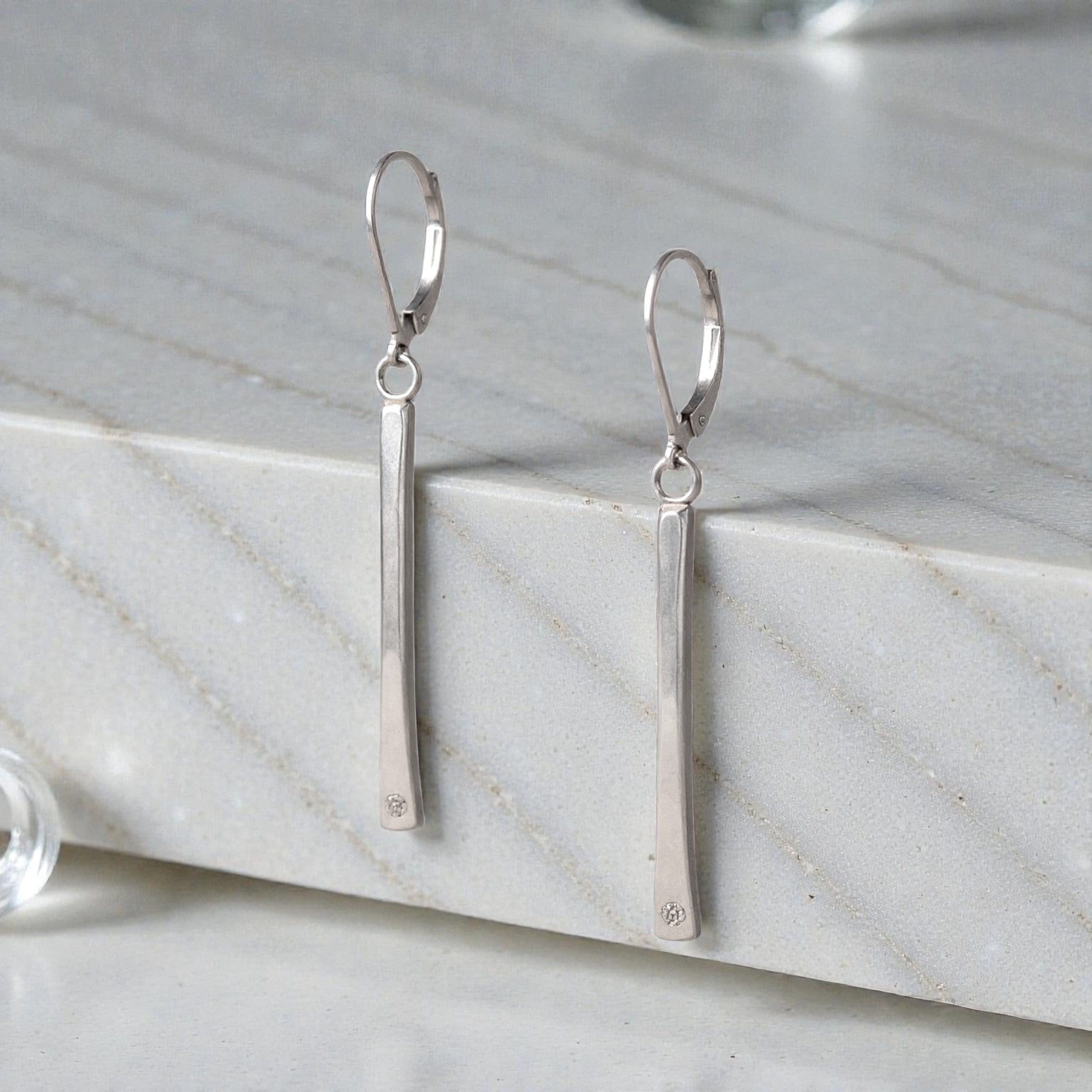 Shimmering Line Earrings - Earrings