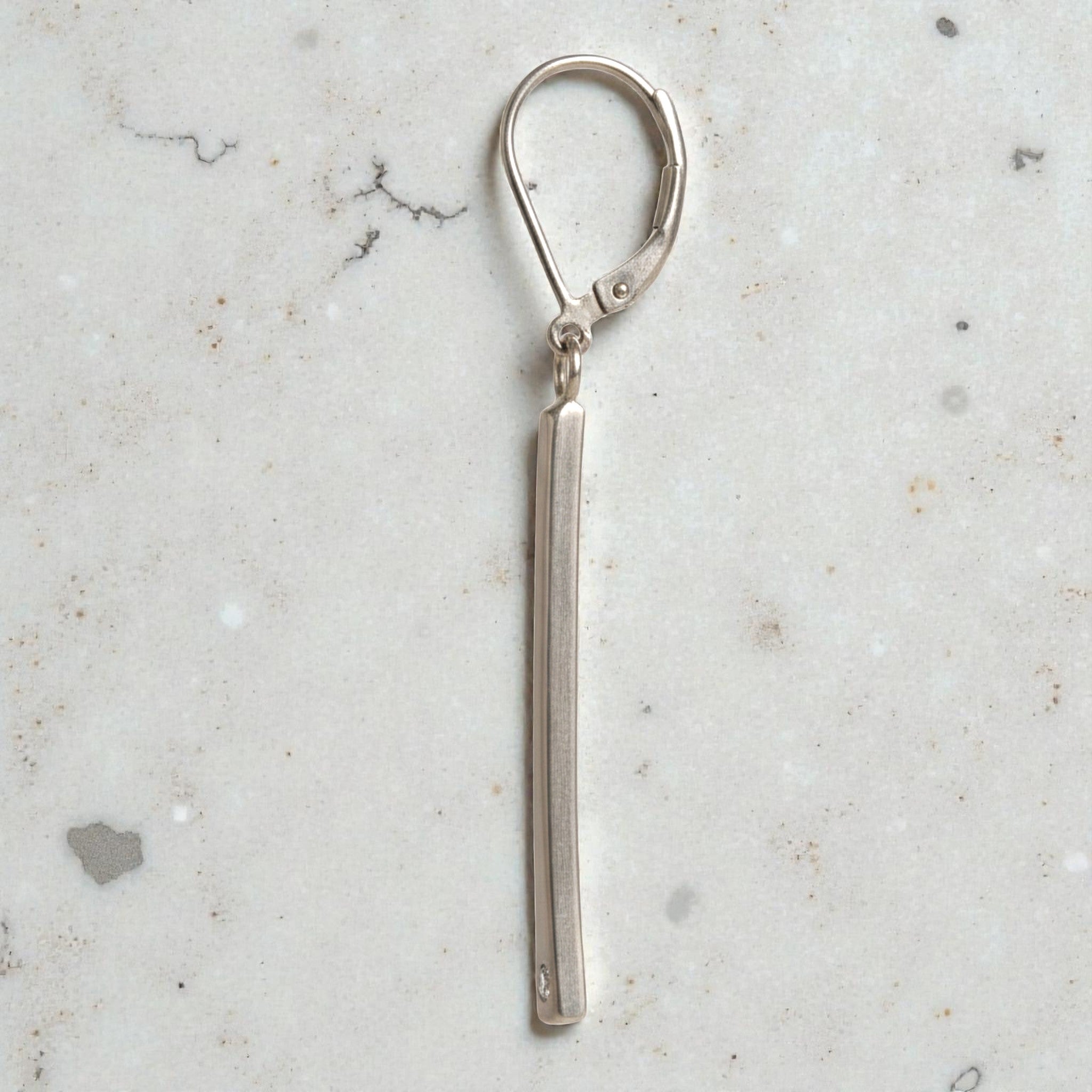 Shimmering Line Earrings - Earrings